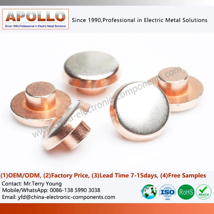 Bimetal Contact Rivets factory