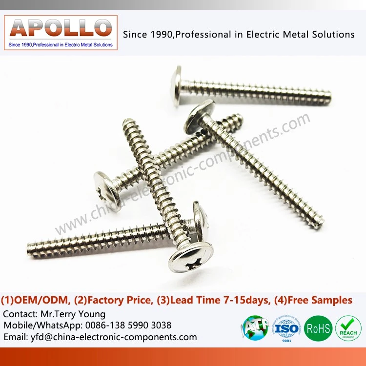 Stainless Steel Screws