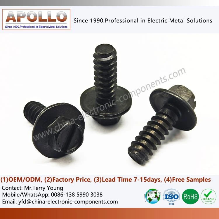 Fastening Screw With Flange And Hex Head
