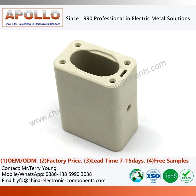Ceramic Body for Auto Fuses