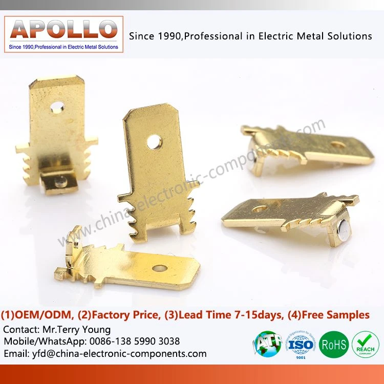 Electrical Contact Rivets with Brass Stamping Electrical Contact Rivets with Brass Stamping