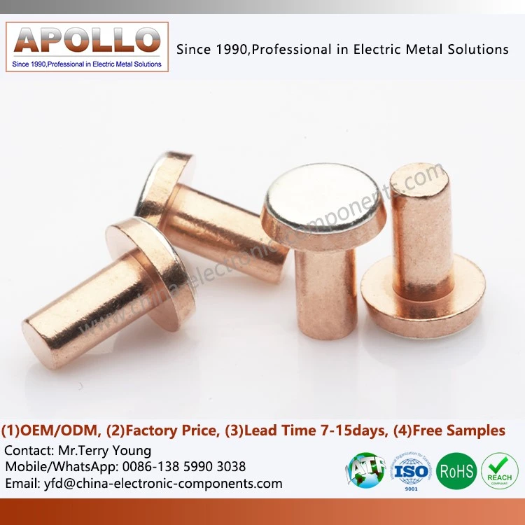Silver Electrical Contacts Silver Electrical Contacts