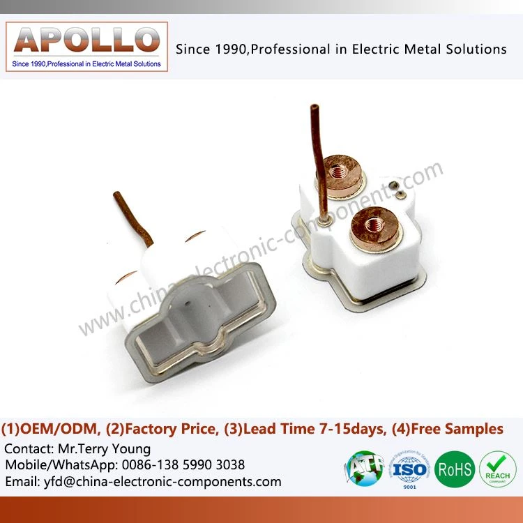 Metalized Alumina Components