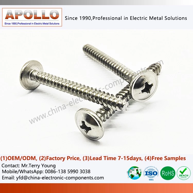 Self-Forming Screw