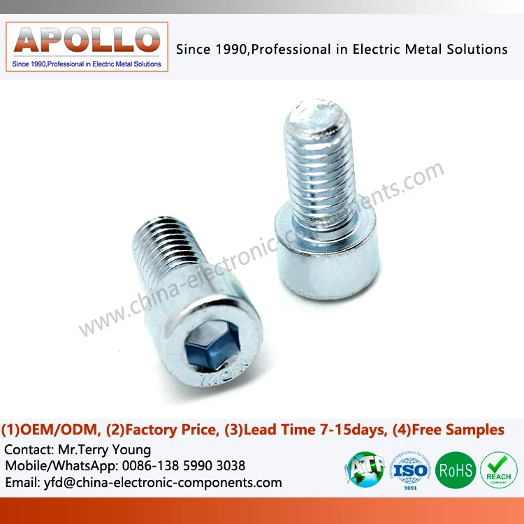 Set Screw with Hollow Head Bolt Base
