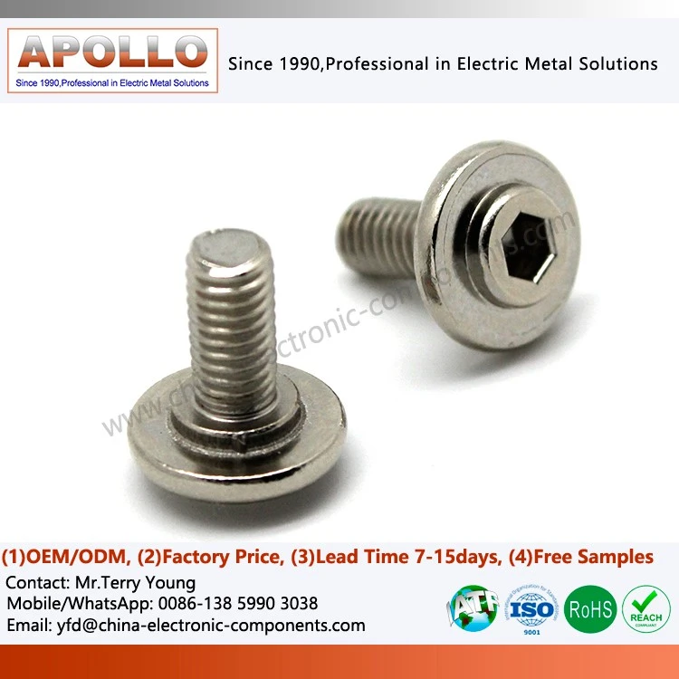 stainless steel screws wood
